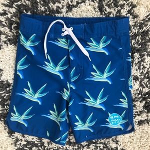 Boys swim trunks (Of One Sea) size 8